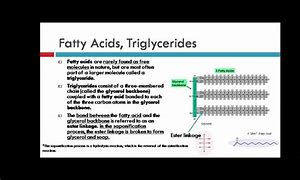 Image result for Fatty Acid Ester