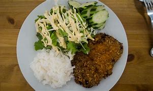 Image result for Tori Katsu