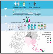 Image result for ancient khoisan dna