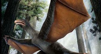 Image result for Bat-Like Dinosaur