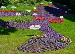 Image result for Lake Constance Mainau