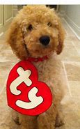 Image result for Baby Dog Costume