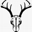 Image result for Deer Skull Profile