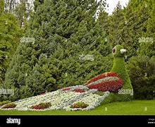 Image result for Parken Insel Mainau