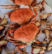 Image result for Whole Dungeness Crab