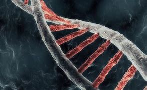 Image result for DNA Double Helix Wallpaper