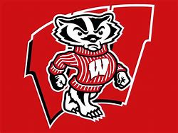 Image result for UW-Madison Badgers