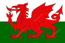 Image result for Welsh Dragon Flag