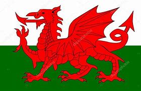 Image result for Welsh Dragon USA Flag