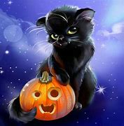 Image result for Hallowen Cat Pumpkin