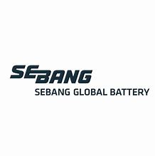 Image result for SSB Battery Logo