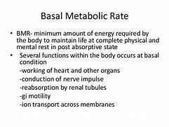 Image result for Define Metabolic Rate