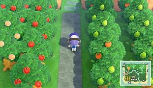 Image result for Animal Crossing New Leaf Fruit