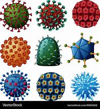 Image result for Different Kinds of Viruses