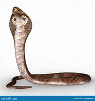 Image result for Naga Monster