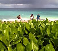 Image result for Isla Mujeres Thing to See Map