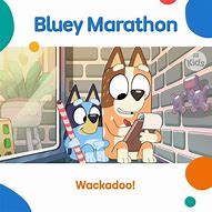 Image result for Wackadoo Bluey