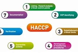 Image result for HACCP System Diagram