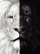 Image result for White Lion Angry