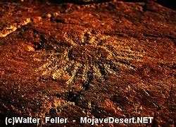 Image result for The Pinto Culture of the Mojave Desert