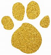 Image result for Gold Paw Print Black Background