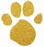 Image result for Gold Paw Print No Background