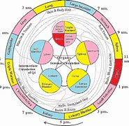 Image result for Organ Time Clock