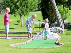 Image result for Miniature Golf Bear