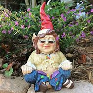 Image result for Female Garden Gnome