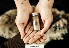 Image result for Cumaru Post