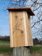 Image result for Saw Owl Nesting Box