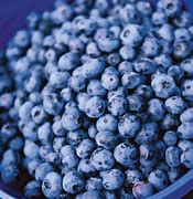 Image result for Yellow Blueberry