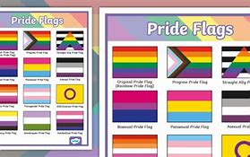 Image result for LGBTQ Flags Poster