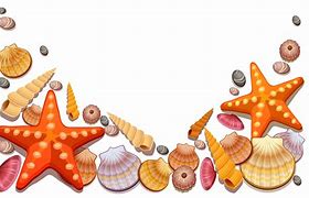 Image result for Cartoon Sea Shell Clip Art