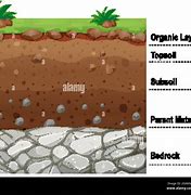 Image result for Soil Layers Drawing