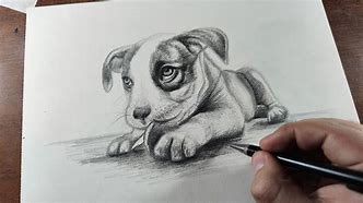 Image result for Realistic Dog Drawing Easy