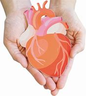 Image result for Heart for Cancer