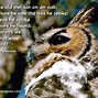 Image result for Wise Sayings Quotes