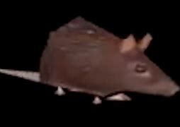 Image result for Rotating Rat