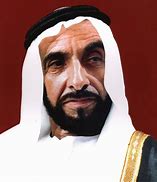 Image result for Zayed Arafa