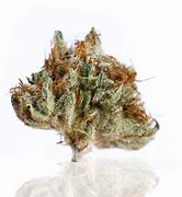 Image result for BC Kush Strain