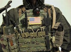 Image result for CAG Service Rifle