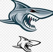 Image result for Tiger Shark PFP