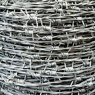 Image result for Barb Wire Line