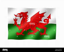 Image result for Wales Flag without Dragon