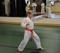 Image result for Green Belt Karate