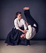 Image result for Aikido Circular Force Image