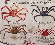 Image result for Alaskan Blue Crab