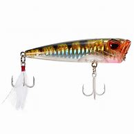 Image result for Popper Lure