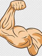 Image result for Flexed Bicep Clip Art